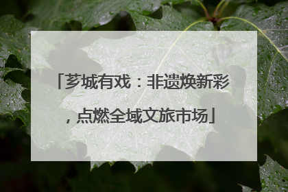 芗城有戏：非遗焕新彩，点燃全域文旅市场