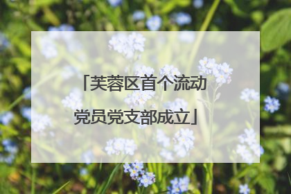芙蓉区首个流动党员党支部成立