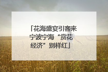 花海盛宴引客来 宁波宁海“赏花经济”别样红