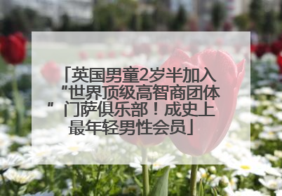英国男童2岁半加入“世界顶级高智商团体”门萨俱乐部！成史上最年轻男性会员