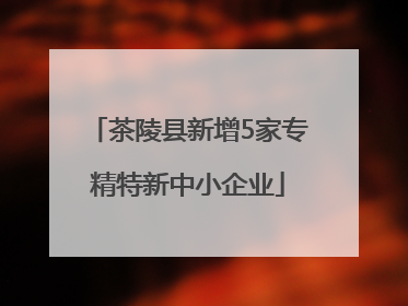 茶陵县新增5家专精特新中小企业