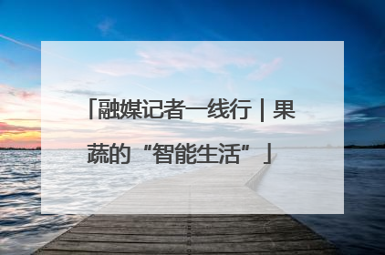 融媒记者一线行｜果蔬的“智能生活”