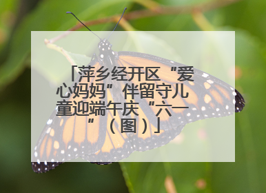 萍乡经开区“爱心妈妈”伴留守儿童迎端午庆“六一”（图）