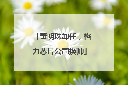 董明珠卸任，格力芯片公司换帅
