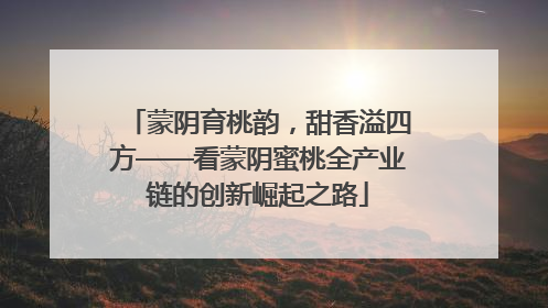 蒙阴育桃韵，甜香溢四方——看蒙阴蜜桃全产业链的创新崛起之路