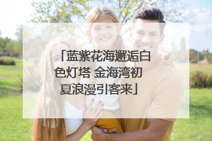 蓝紫花海邂逅白色灯塔 金海湾初夏浪漫引客来