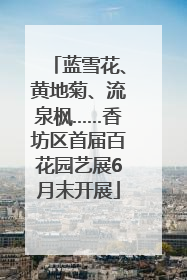 蓝雪花、黄地菊、流泉枫……香坊区首届百花园艺展6月末开展