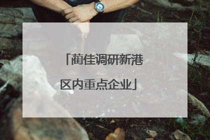蔺佳调研新港区内重点企业
