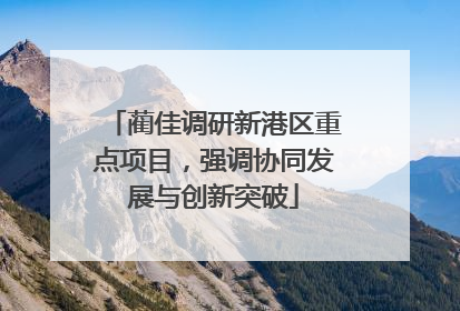 蔺佳调研新港区重点项目，强调协同发展与创新突破
