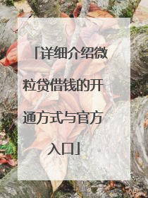 详细介绍微粒贷借钱的开通方式与官方入口