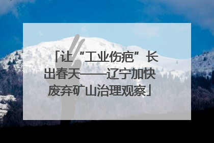 让“工业伤疤”长出春天——辽宁加快废弃矿山治理观察