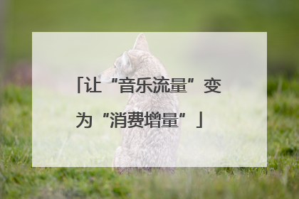 让“音乐流量”变为“消费增量”