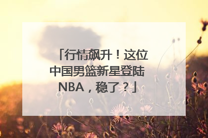 行情飙升！这位中国男篮新星登陆NBA，稳了？