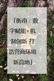 衡南：数字赋能+机制创新 打造营商环境新高地