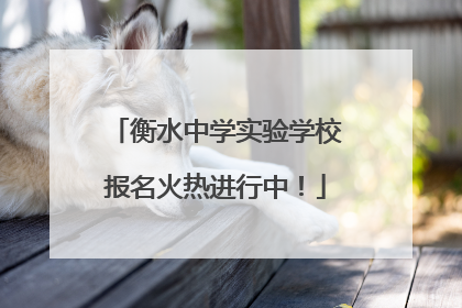 衡水中学实验学校报名火热进行中！