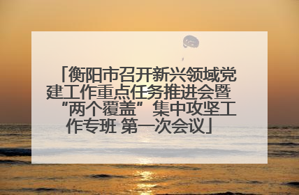 衡阳市召开新兴领域党建工作重点任务推进会暨“两个覆盖”集中攻坚工作专班 第一次会议