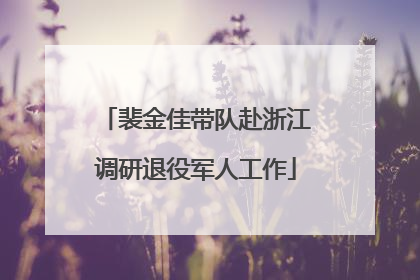 裴金佳带队赴浙江调研退役军人工作