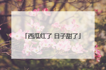 西瓜红了 日子甜了