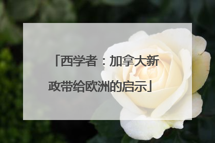 西学者：加拿大新政带给欧洲的启示