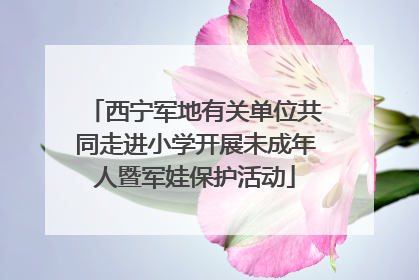 西宁军地有关单位共同走进小学开展未成年人暨军娃保护活动