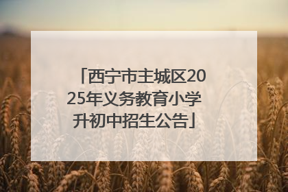 西宁市主城区2025年义务教育小学升初中招生公告