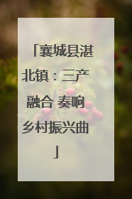 襄城县湛北镇：三产融合 奏响乡村振兴曲