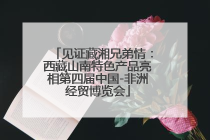 见证藏湘兄弟情：西藏山南特色产品亮相第四届中国-非洲经贸博览会