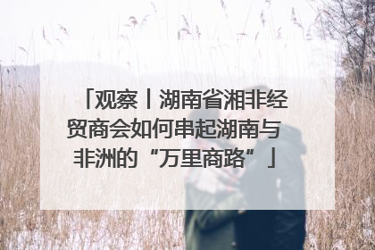 观察丨湖南省湘非经贸商会如何串起湖南与非洲的“万里商路”