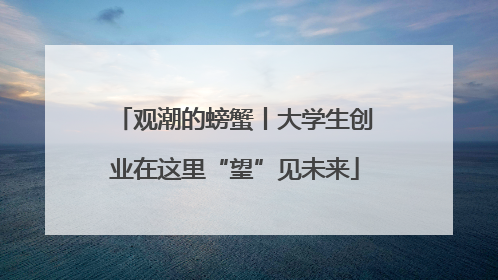 观潮的螃蟹丨大学生创业在这里“望”见未来