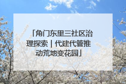 角门东里三社区治理探索｜代建代管推动荒地变花园