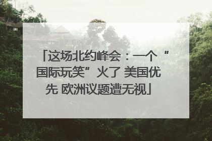 这场北约峰会：一个“国际玩笑”火了 美国优先 欧洲议题遭无视