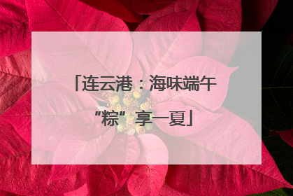 连云港：海味端午 “粽”享一夏