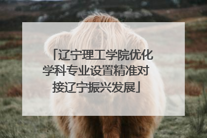 辽宁理工学院优化学科专业设置精准对接辽宁振兴发展