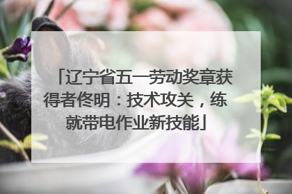 辽宁省五一劳动奖章获得者佟明：技术攻关，练就带电作业新技能