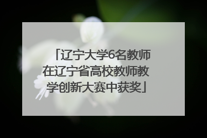 辽宁大学6名教师在辽宁省高校教师教学创新大赛中获奖