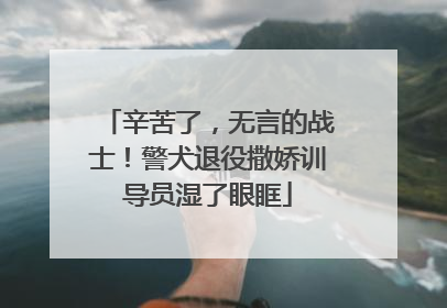 辛苦了，无言的战士！警犬退役撒娇训导员湿了眼眶