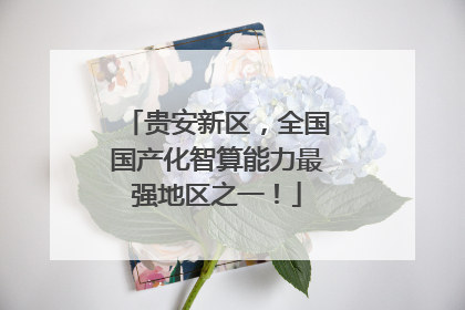 贵安新区，全国国产化智算能力最强地区之一！