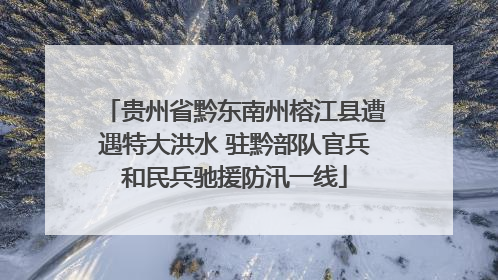 贵州省黔东南州榕江县遭遇特大洪水 驻黔部队官兵和民兵驰援防汛一线