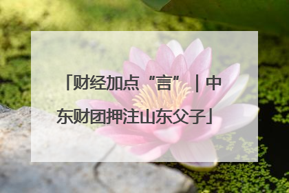 财经加点“言”｜中东财团押注山东父子