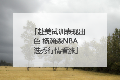 赴美试训表现出色 杨瀚森NBA选秀行情看涨