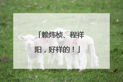 赖炜桢、程祥阳，好样的！