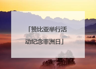 赞比亚举行活动纪念非洲日