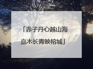 赤子丹心越山海 嘉木长青映榕城