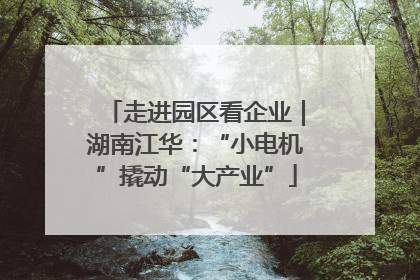 走进园区看企业｜湖南江华：“小电机”撬动“大产业”