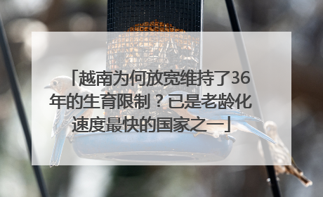 越南为何放宽维持了36年的生育限制？已是老龄化速度最快的国家之一