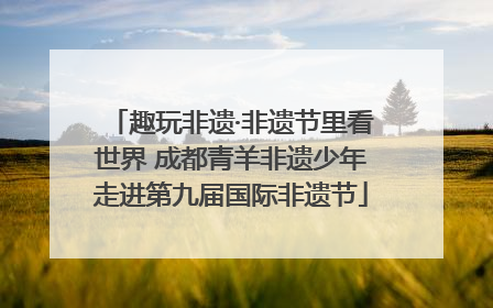 趣玩非遗·非遗节里看世界 成都青羊非遗少年走进第九届国际非遗节