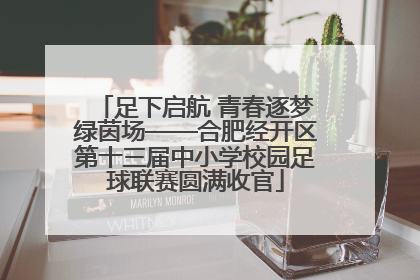 足下启航 青春逐梦绿茵场——合肥经开区第十三届中小学校园足球联赛圆满收官