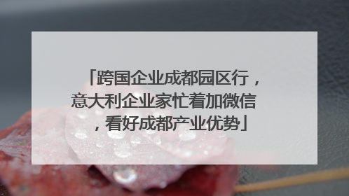 跨国企业成都园区行，意大利企业家忙着加微信，看好成都产业优势