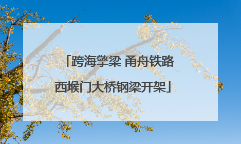 跨海擎梁 甬舟铁路西堠门大桥钢梁开架