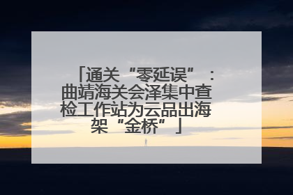 通关“零延误”：曲靖海关会泽集中查检工作站为云品出海架“金桥”